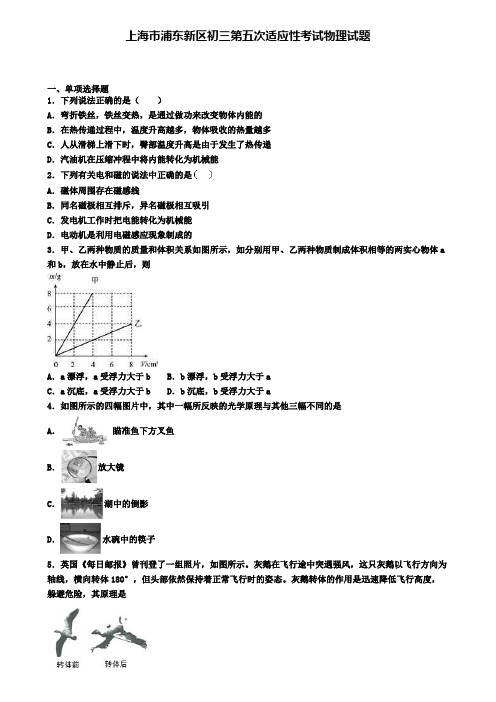 上海市浦东新区初三第五次适应性考试物理试题