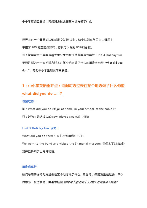中小学英语重难点：what did you do 句型
