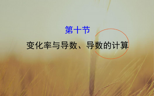 2018届高考数学理科全国通用一轮总复习课件：第二章 函数、导数及其应用 2-10 精品