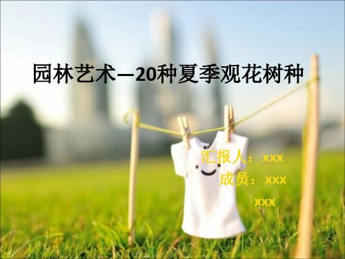 20种夏花树种资料