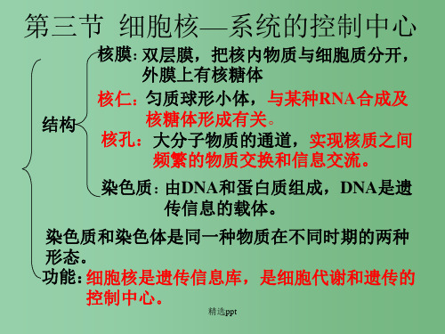 高中生物 3.3《细胞核—系统的控制中心》4课件 新人教版必修1