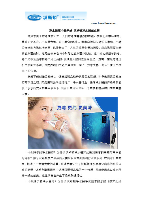 净水器哪个牌子好 汉斯顿净水器怎么样