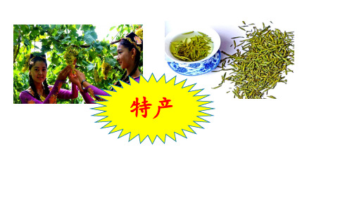 新北师大版三年级语文下册《 特产》优质课课件_8