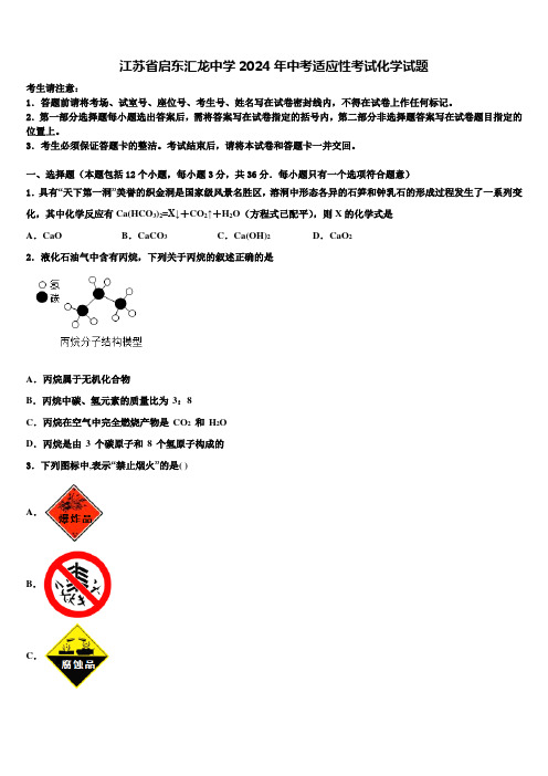 江苏省启东汇龙中学2024届中考适应性考试化学试题含解析