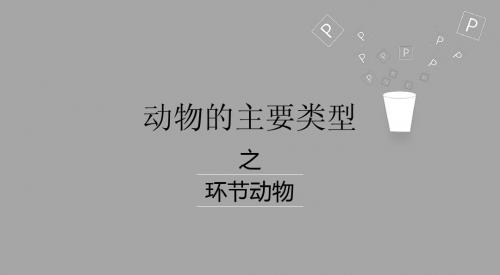 环节动物