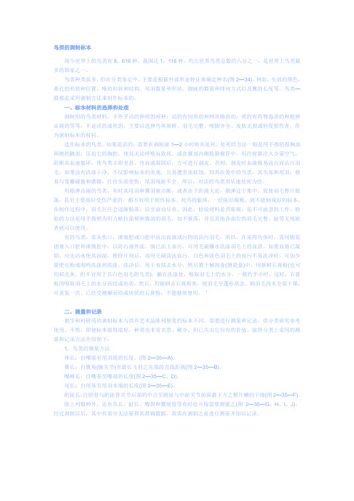 鸟类的剥制标本