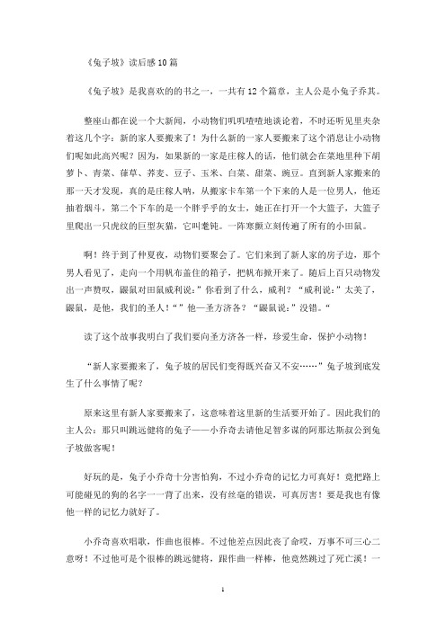 《兔子坡》读后感10篇(最新)
