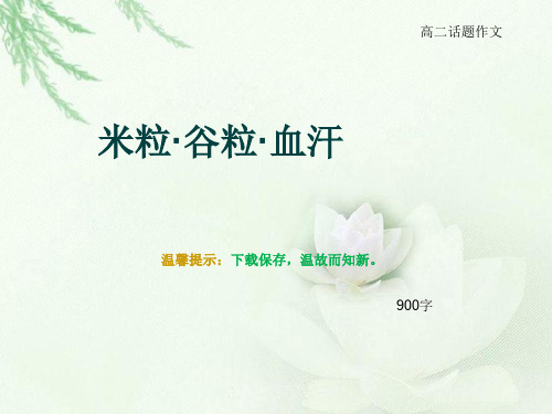 高二话题作文《米粒·谷粒·血汗》900字