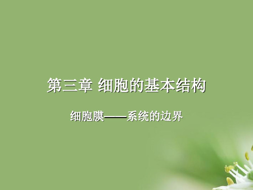 细胞膜——系统的边界ppt3 人教课标版精选教学PPT课件