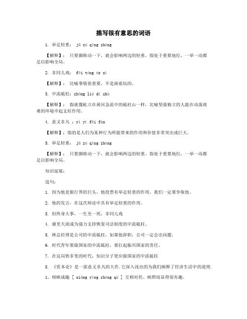 描写很有意思的词语