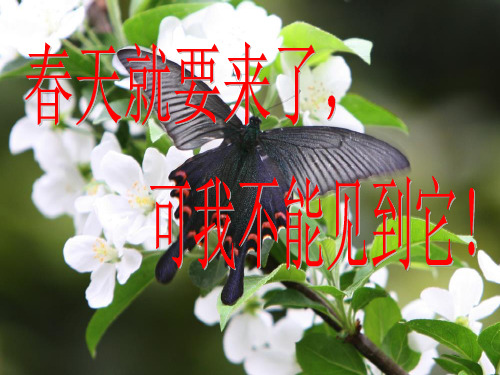 《作文指导——联想_想象》