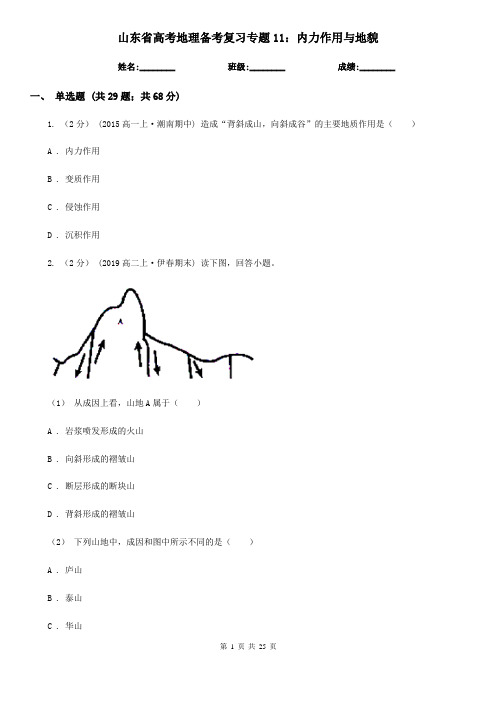 山东省高考地理备考复习专题11：内力作用与地貌