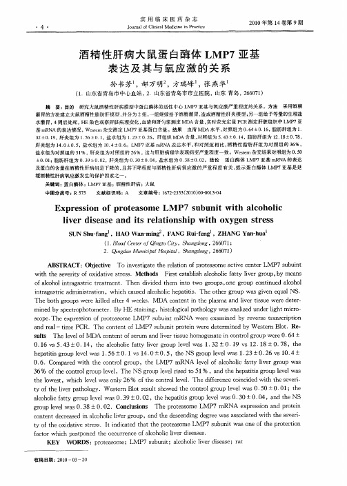 酒精性肝病大鼠蛋白酶体LMP7亚基表达及其与氧应激的关系