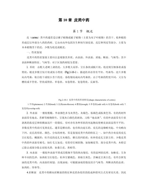 第10 章 皮类中药