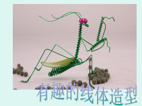 第11课 有趣的线造型 课件