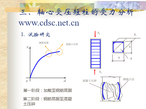 轴心受压短柱的受力分析