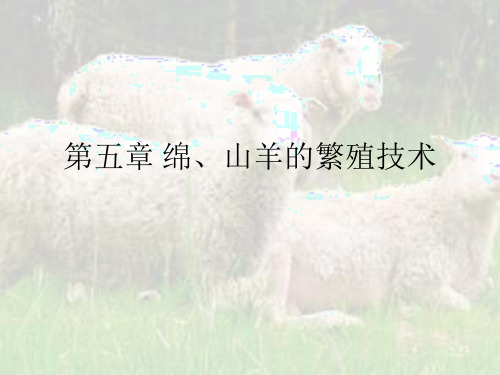 第五章 绵、山羊的繁殖技术