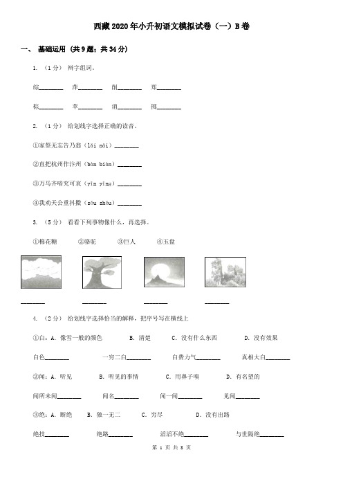 西藏2020年小升初语文模拟试卷(一)B卷