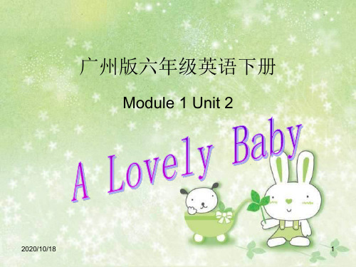 《Module1 Unit2 a lovely baby》PPT-广州版英语六下PPT优选课件