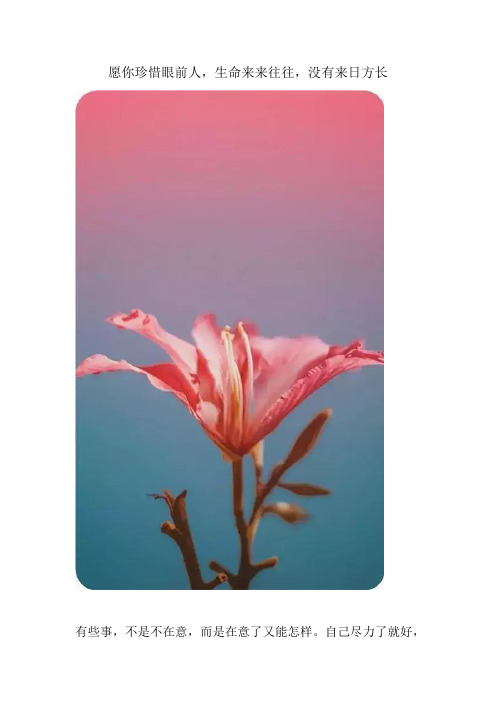 愿你珍惜眼前人,生命来来往往,没有来日方长