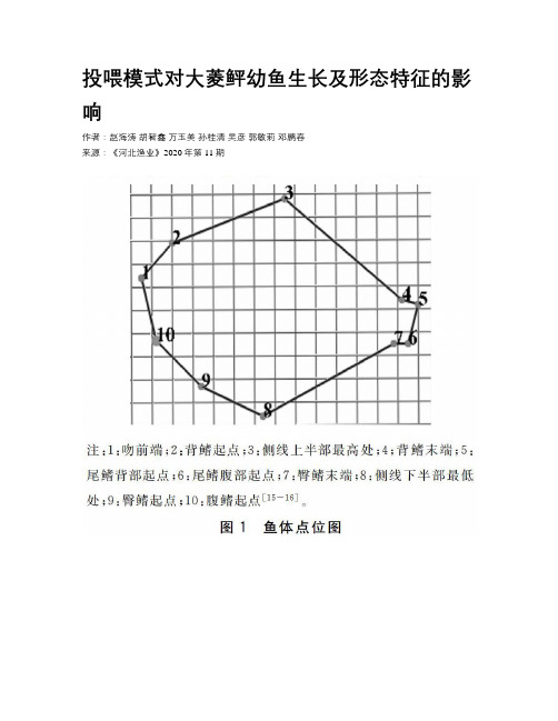 投喂模式对大菱鲆幼鱼生长及形态特征的影响