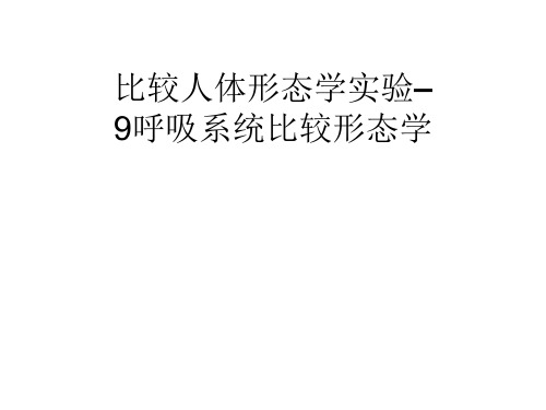 形态学 8简版比较人体形态学-呼吸系统