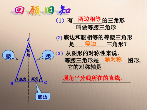 浙教版初中数学八年级上册 2.3 等腰三角形的性质定理  课件  优品课件ppt