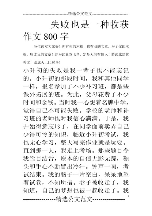 失败也是一种收获作文800字