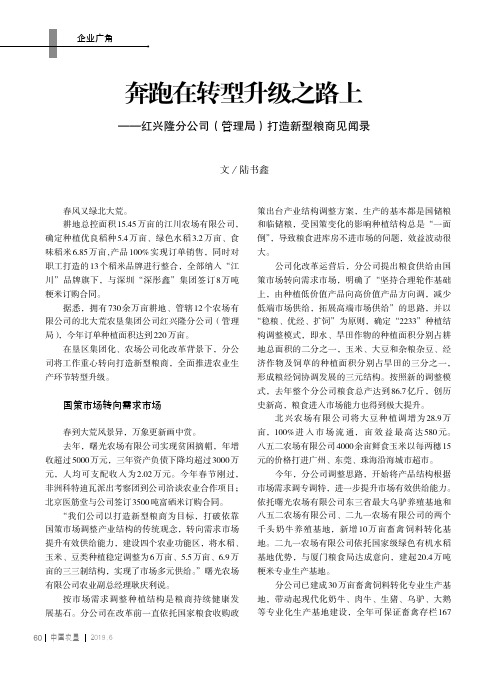 奔跑在转型升级之路上——红兴隆分公司(管理局)打造新型粮商见闻录