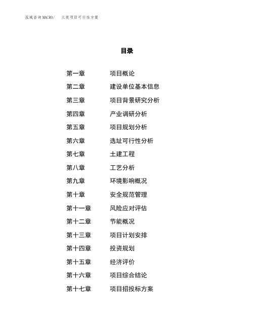兰炭项目可行性方案