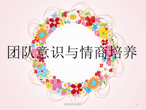 团队意识和情商培养