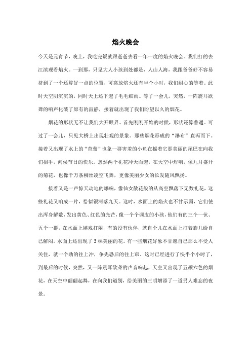 焰火晚会_初中初二作文600字