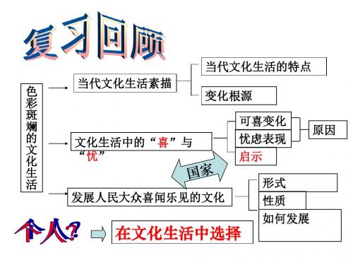 8.2在文化生活中选择