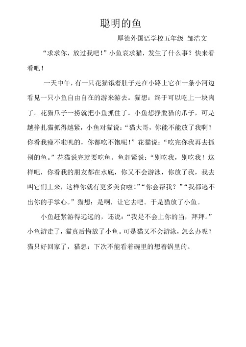 聪明的鱼 邹浩文