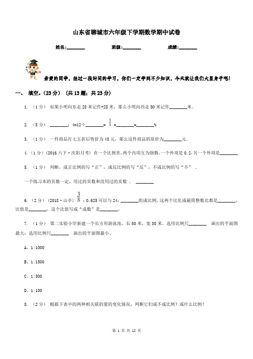 山东省聊城市六年级下学期数学期中试卷