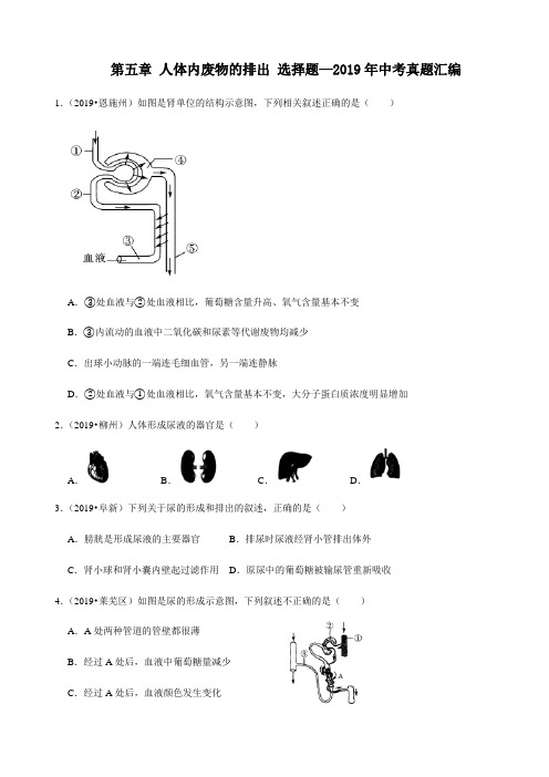 人教版生物七年级下册第五章 人体内废物的排出 选择题—2019年中考真题汇编(含答案)