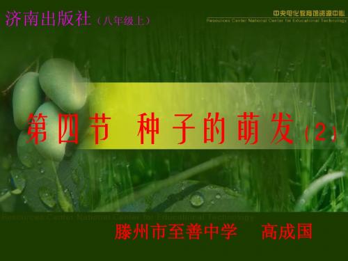 种子的萌发
