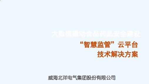 大数据撬动食品药品安全建设培训课件