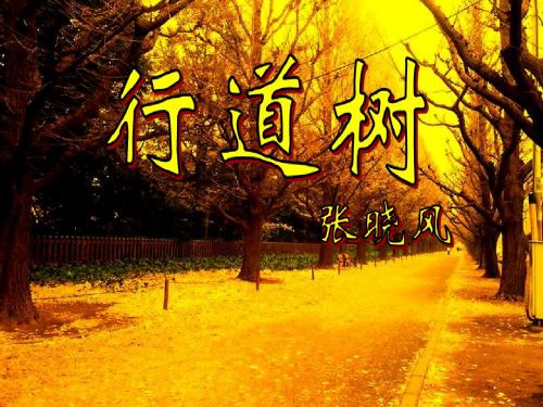 初中语文《行道树》(共24张)ppt123