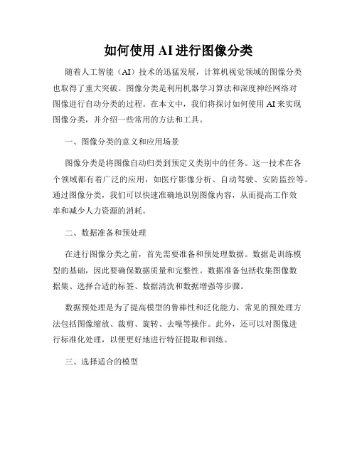 如何使用AI进行图像分类
