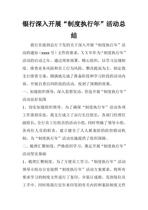 银行深入开展“制度执行年”活动总结