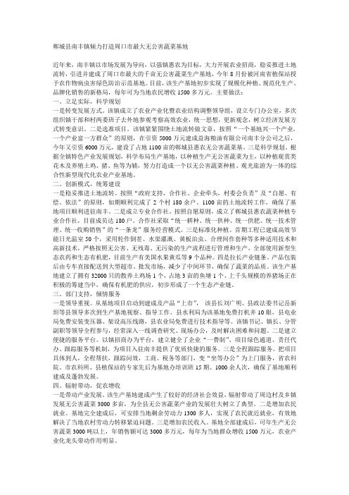 郸城县南丰镇倾力打造周口市最大无公害蔬菜基地11