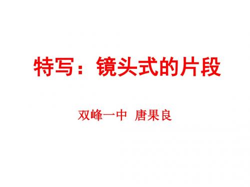 特写：镜头式的片段ppt 人教课标版
