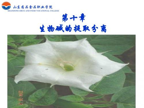 第十章生物碱分离