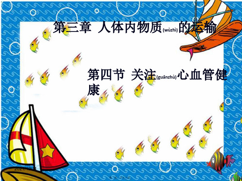 七年级生物下册3.3.4《关注心血管健康》初中七年级下册生物