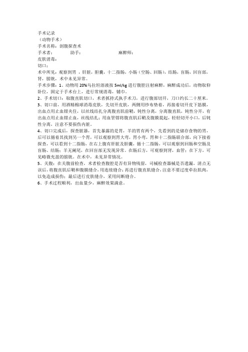 羊剖腹探查术    手术记录