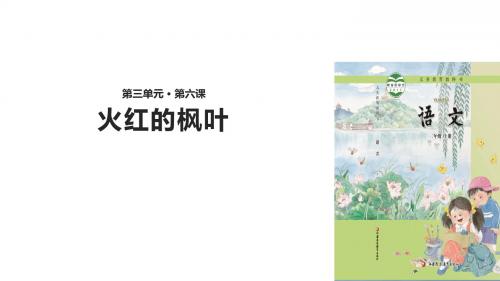(新)苏教版二年级语文上册第6课《火红的枫叶》精品课件