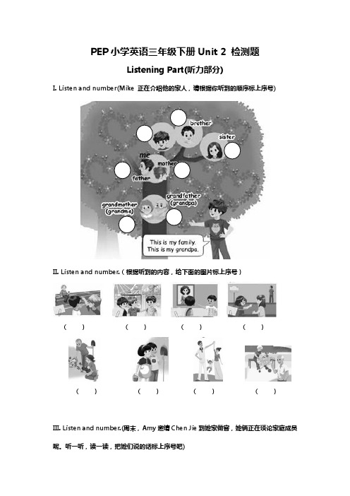 三年级下英语单元试题-Unit2 My family-人教(PEP)
