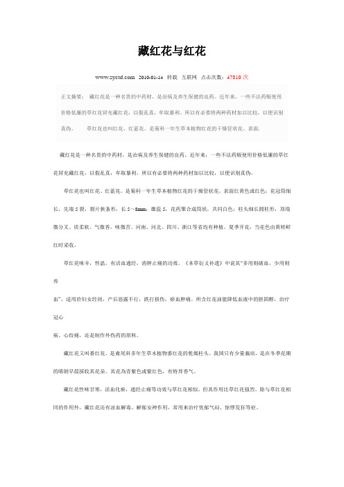 藏红花与红花