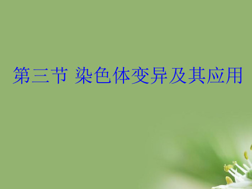 生物：3.3《染色体变异及其应用》课件(苏教版必修2)精选教学PPT课件